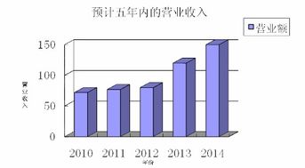 艺彩装饰公司商业计划书 战略规划与市场开拓