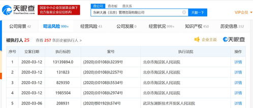 ofo再成被执行人 2020年第19次 市场营销策划的警示与反思