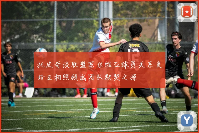 托皮奇谈联盟塞尔维亚球员关系良好互相照顾成团队默契之源
